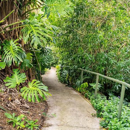 Hatea Treehouse Whangarei Εξωτερικό φωτογραφία