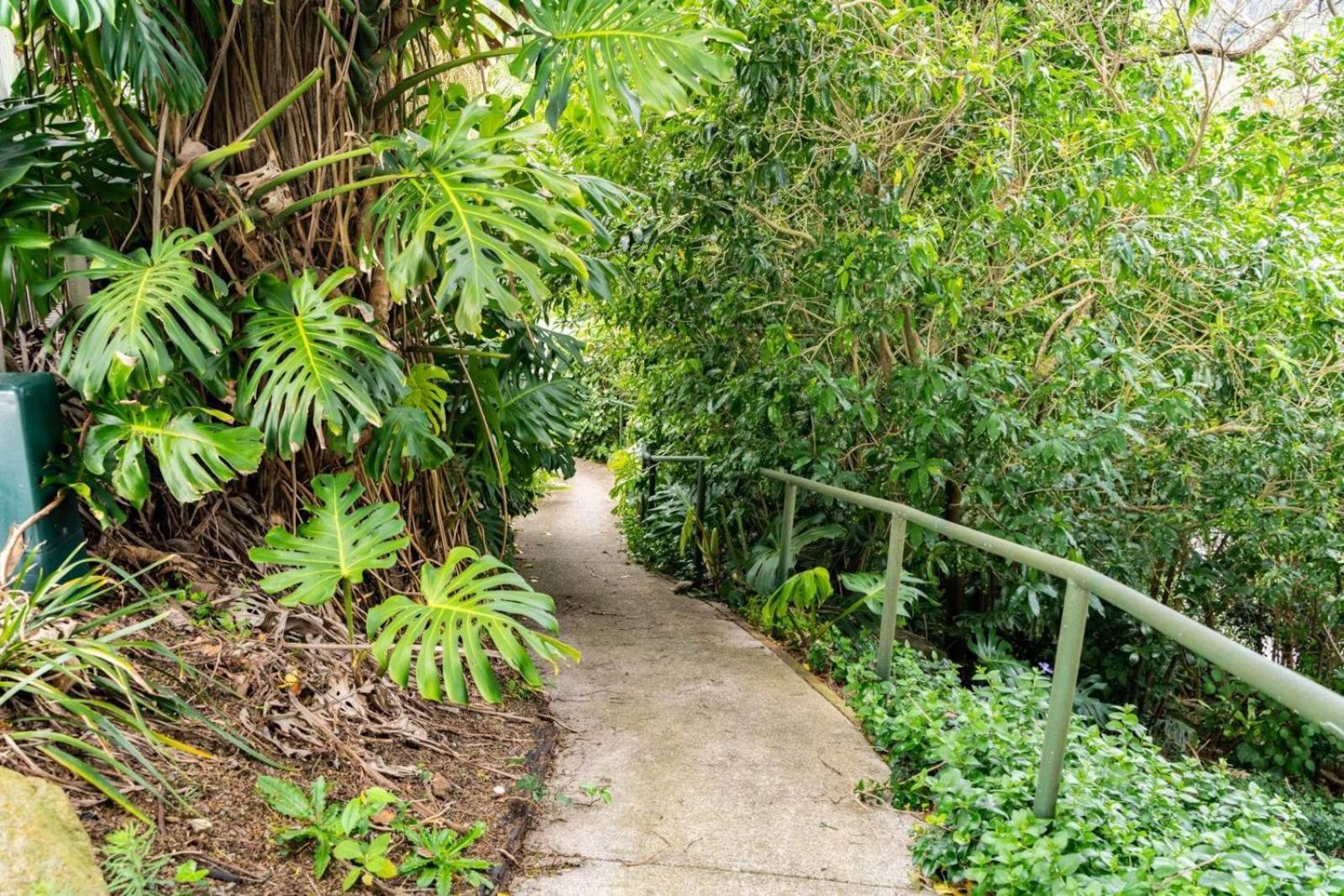 Hatea Treehouse Whangarei Εξωτερικό φωτογραφία